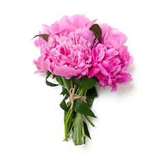 Blomster billede 